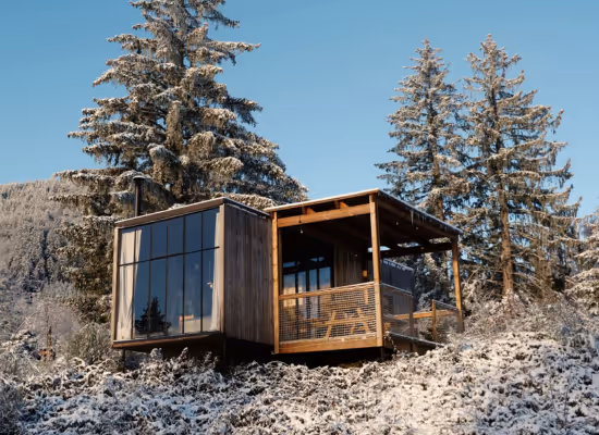 Classic for 4 cabin in the woods in Alsace covered with snow