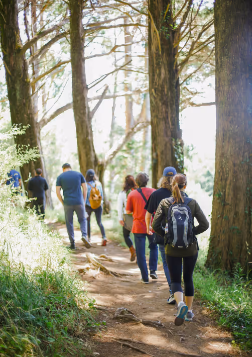 A group of friends hiking during a unique weekend with friends