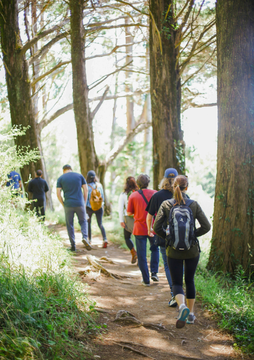 A group of friends hiking during a unique weekend with friends