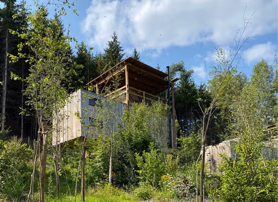 Canopy cabin in the woods in the Ardennes with rooftop terrace and a stunning view on nature