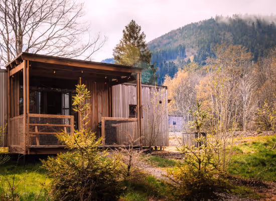 Classic for 6 cabin in the woods in Alsace