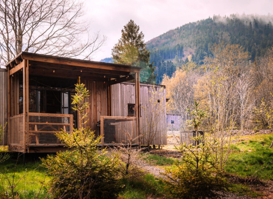 Classic for 6 cabin in the woods in Alsace