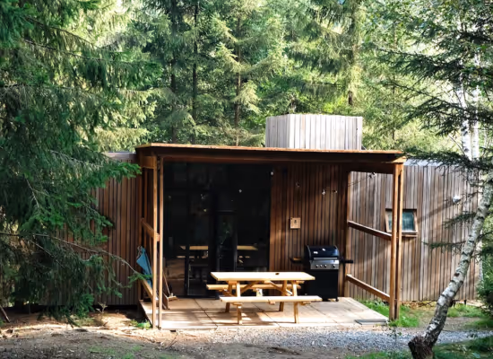 Classic for 6 cabin in the woods in the Ardennes in spring