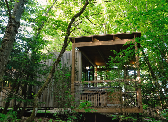 A Sweet Hot Tub cabin in the woods in Alsace