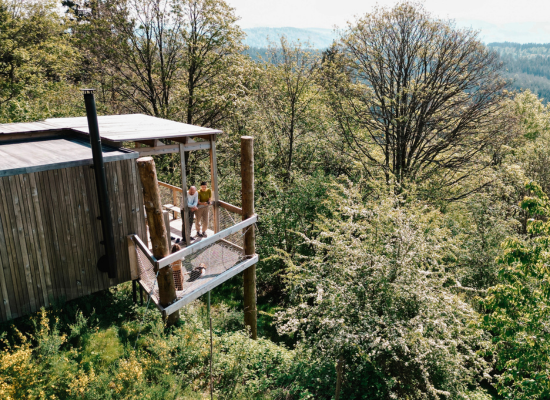 The Nest cabin in Alsace with a net terrace