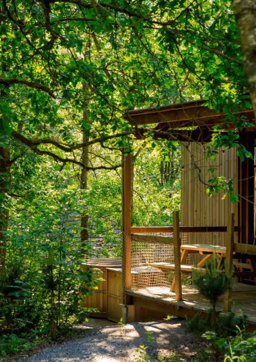 A cosy cabin in the woods with a jacuzzi in spring