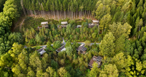 Plusieurs cabanes dans les arbres dans les Ardennes