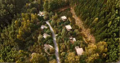 Multiple cabins in the woods in the Ardennes