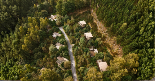 Meerdere boomhutten in de Ardennen