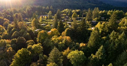 Overview of the Nutchel cabins in the woods in Alsace