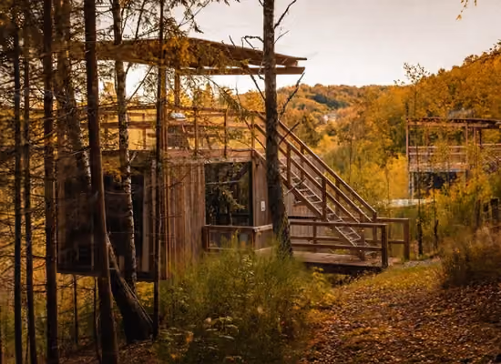 Canopy cabin in the woods in the Ardennes with rooftop terrace and a stunning view on nature