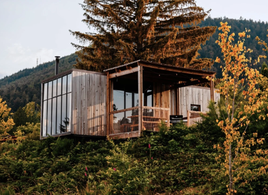 Classic for 6 cabin in the woods in Alsace