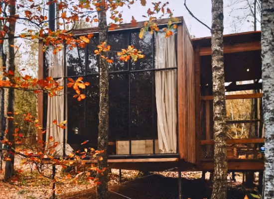 Classic for 4 people cabin in the woods in the Ardennes