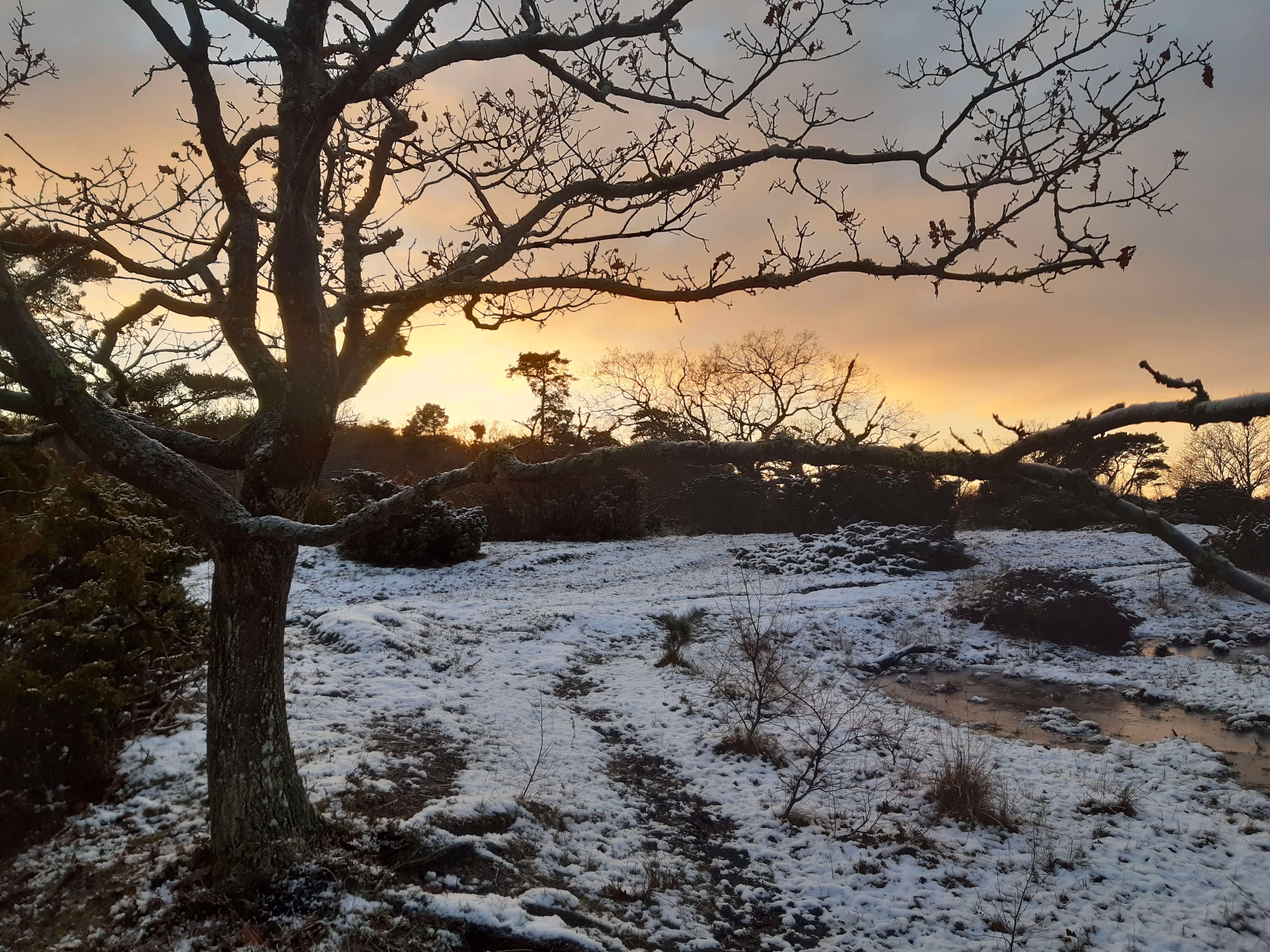 Ulvshale Naturnationalpark