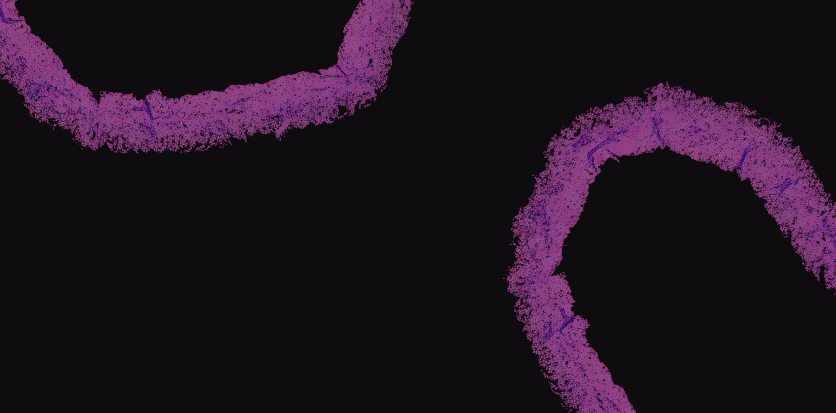 Halo Lab’s UX/UI design service for scalable Laboratory Information System