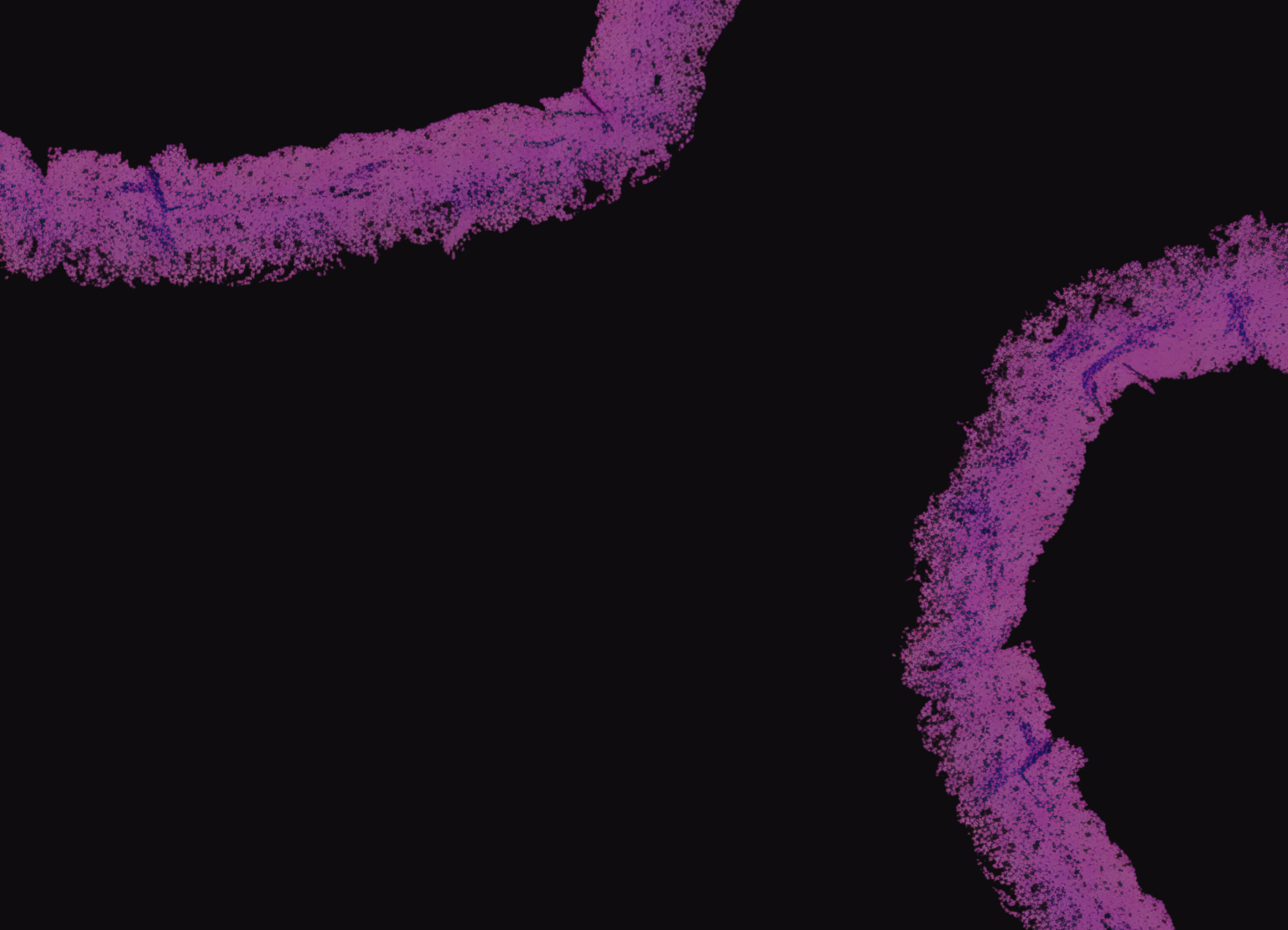 Halo Lab’s UX/UI design service for scalable Laboratory Information System