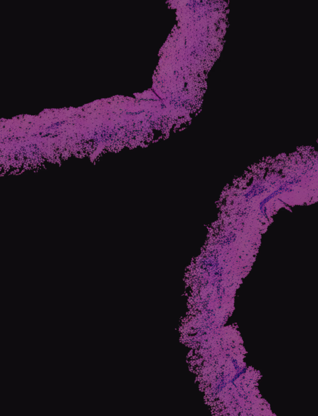 Halo Lab’s UX/UI design service for scalable Laboratory Information System