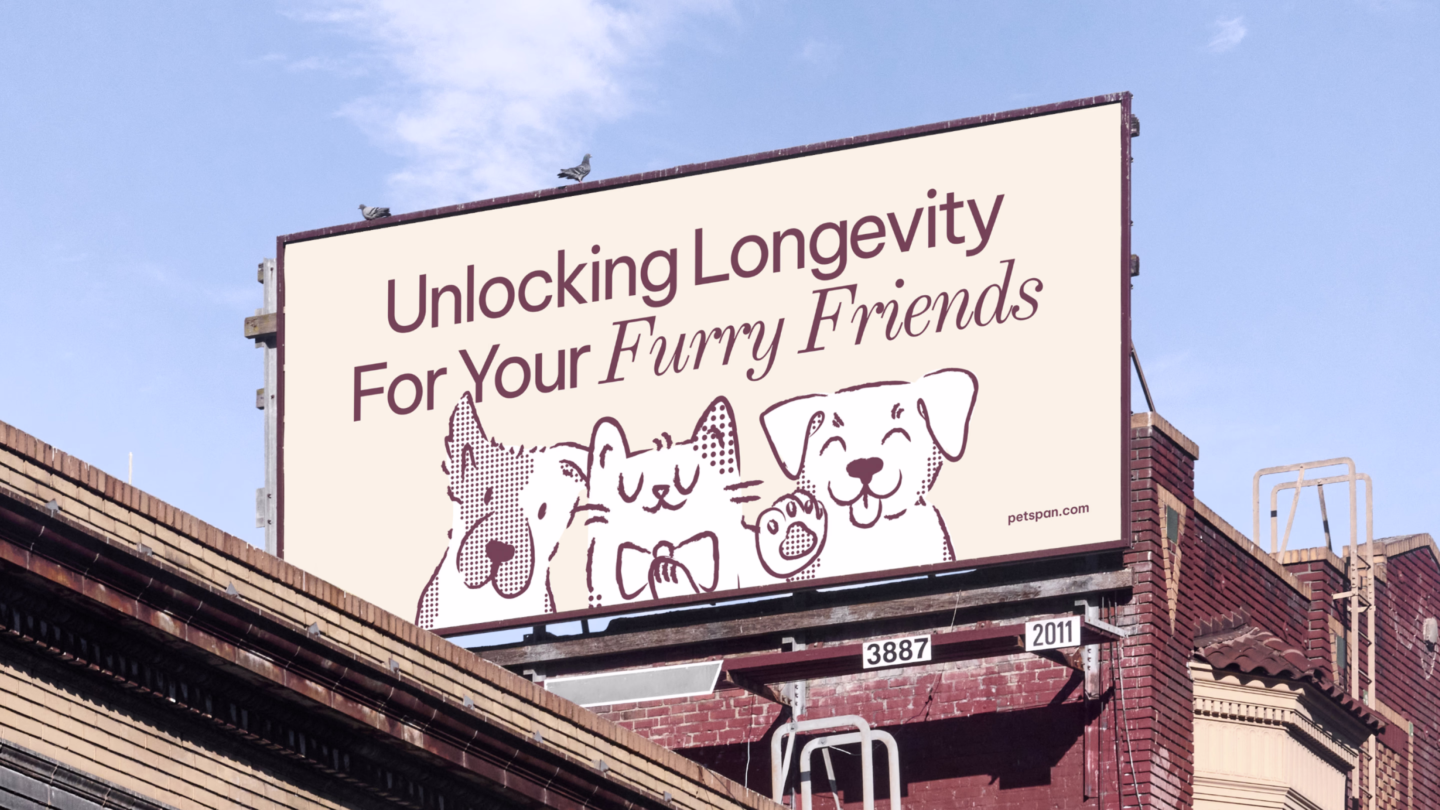 branding, web designi and development a telehealth platform for pet longevity by Halo Lab
