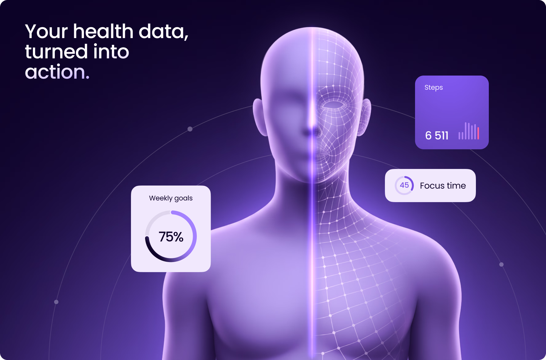 Web design and SEO by Halo Lab building scalable site for platform growth