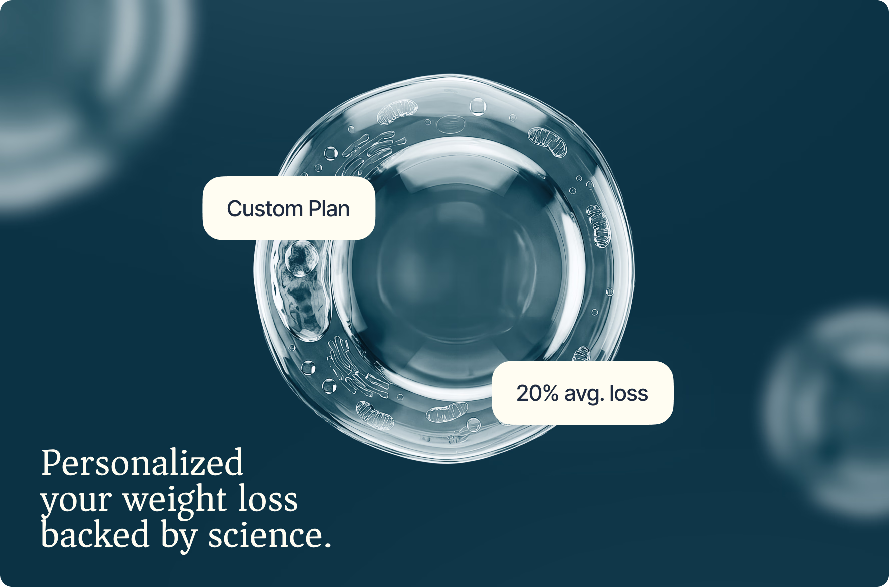 Halo Lab Webflow website for women’s health care platform