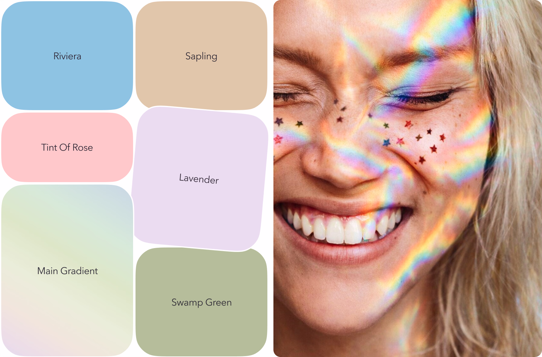 the color palette used for brand identity design