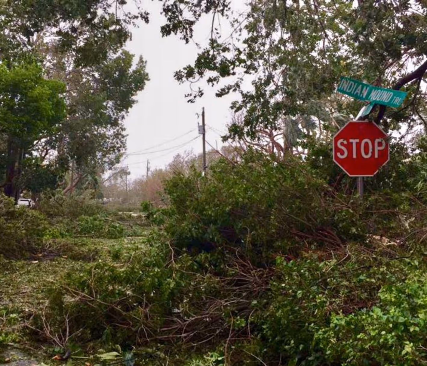 Image of hurricane destruction in the Florida Keys with a stop sign.