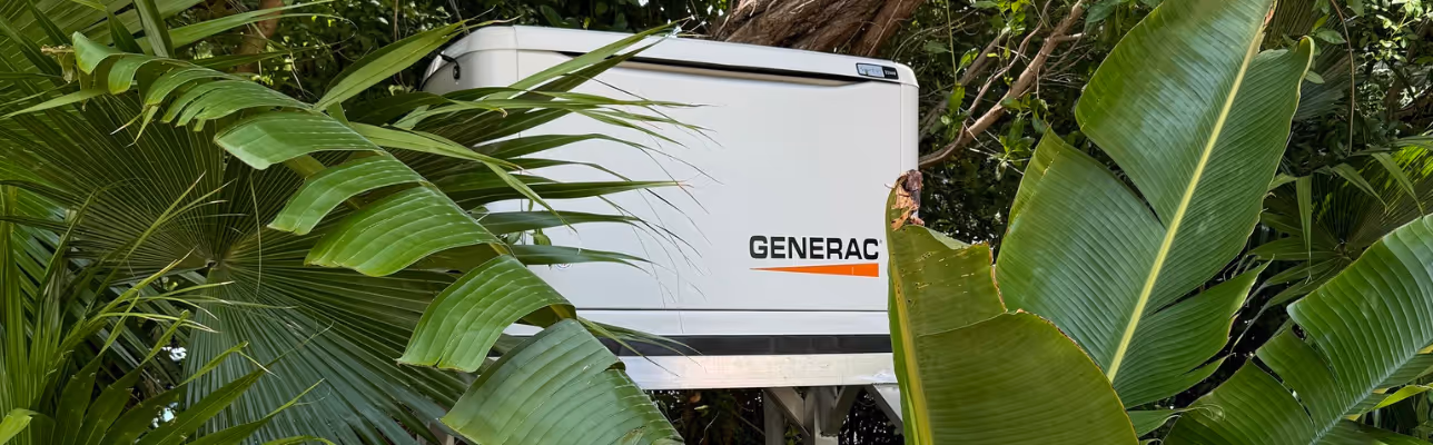 A Generator generator installed at a home in Islamorada with tropical foliage surrounding the unit.