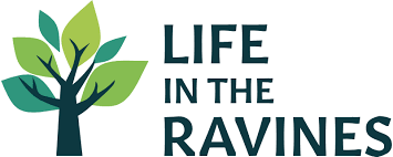 LIFE in the Ravines