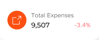 total expenses display