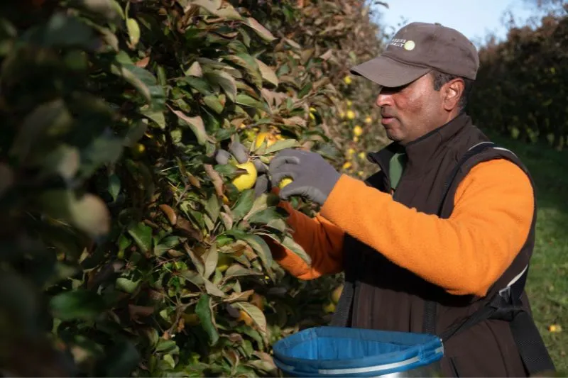 gestion saisonniers les fermes de gally