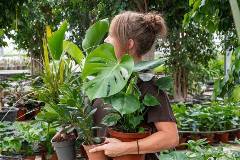 jardiniere fermes de gally