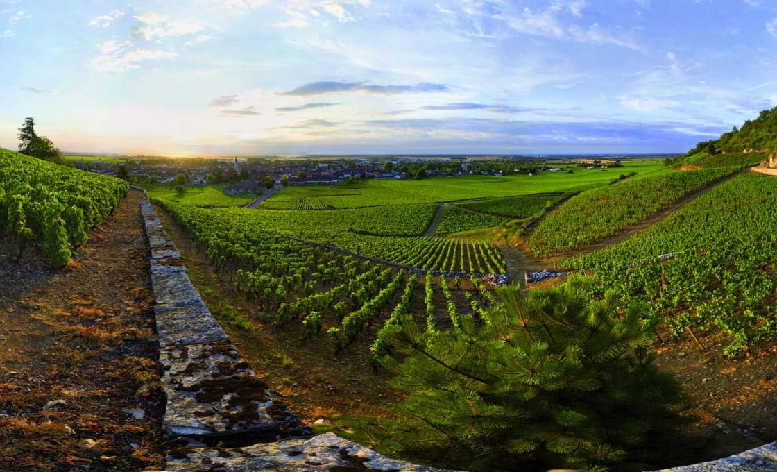 Soirée terroirs d’exception #2.