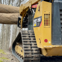 Land Clearing