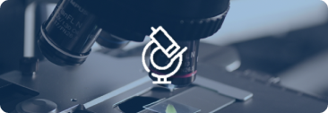 Design Solution Image
