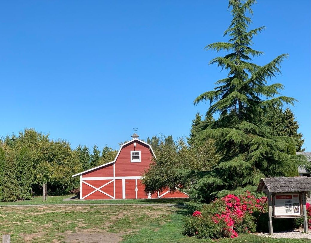 カナダ・BC州リッチモンド・セカンダリースクールの秋から冬にかけての学校生活