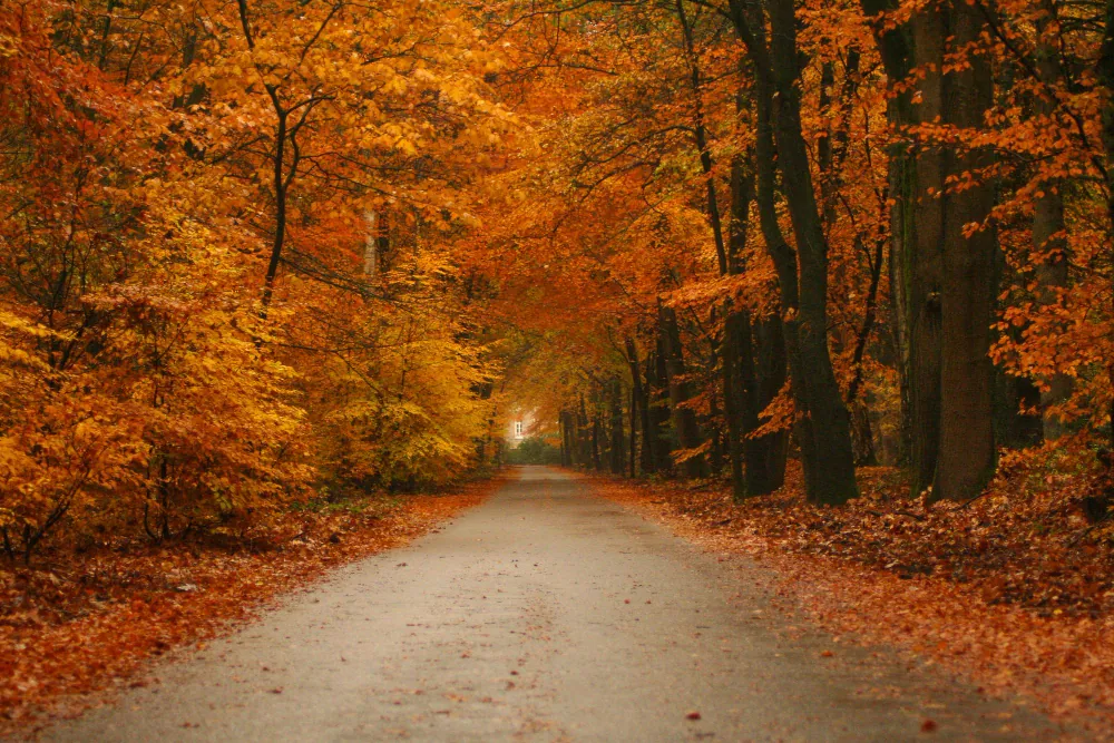 Pflege im Herbst – Was sich jetzt verändern kann und worauf Sie achten sollten