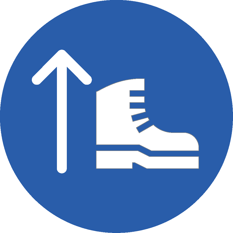 Chaussures montantes