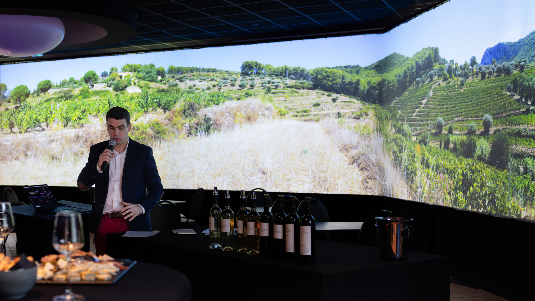 FOOD'ANGERS - Dégustation de vin immersive -  Espagne et Italie