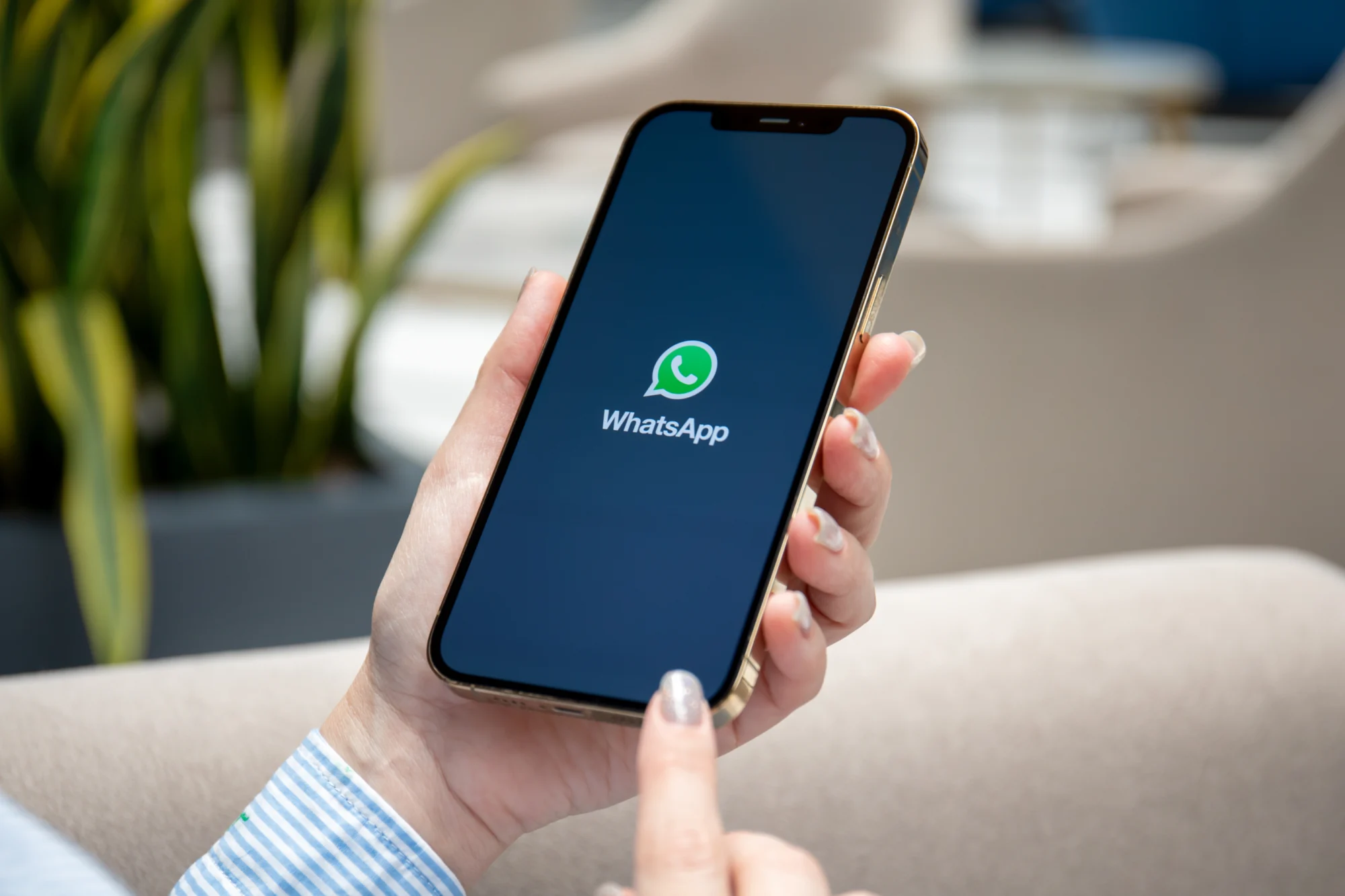 How to send a business card on WhatsApp