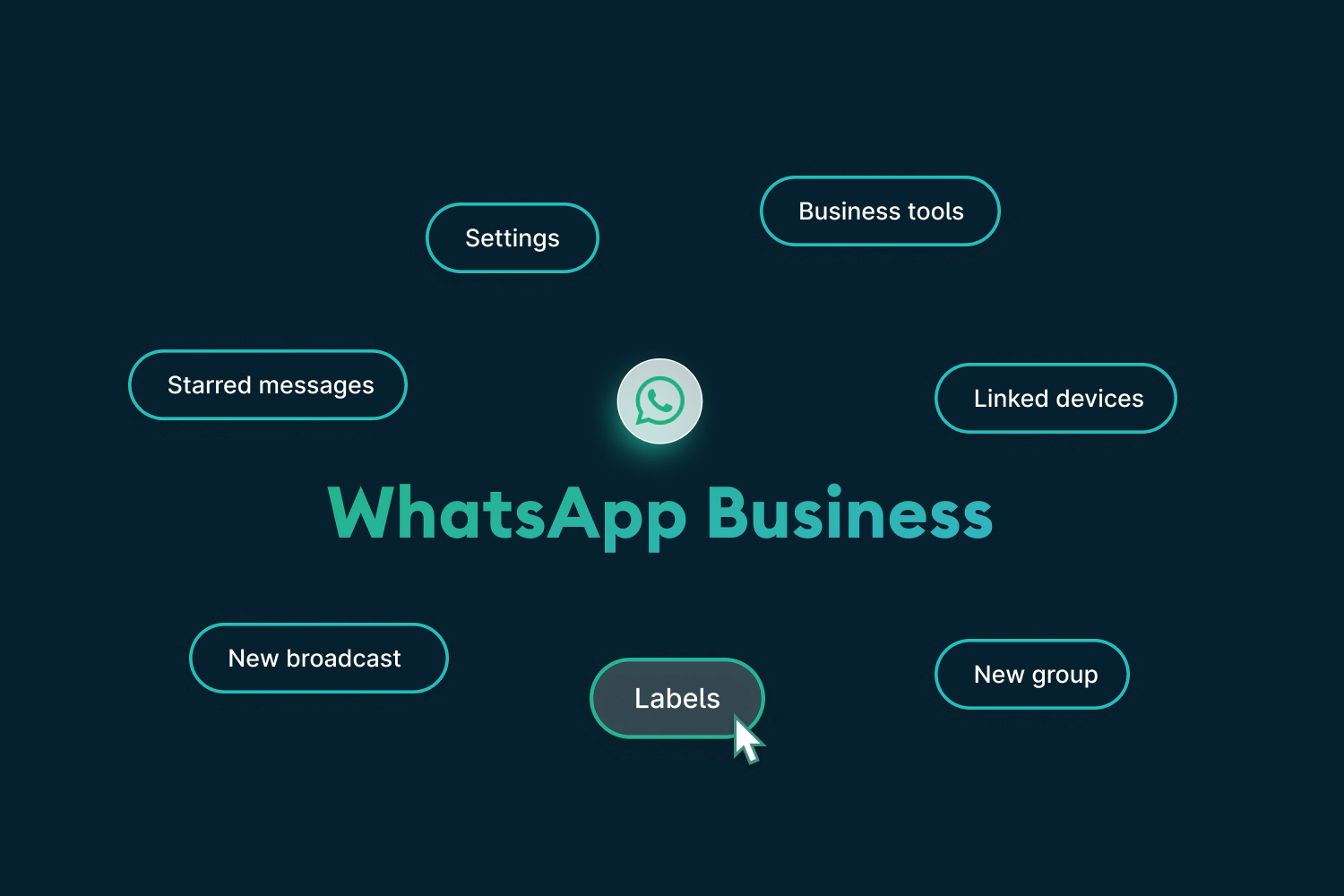 WhatsApp Business features an up to date overview