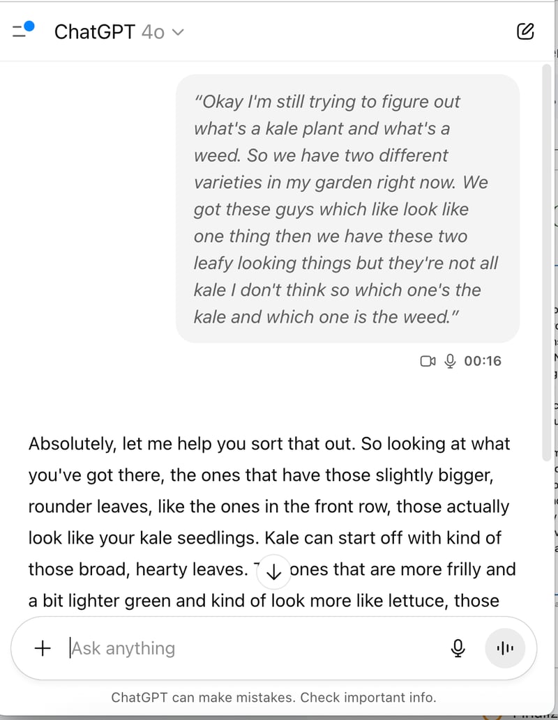 Screenshot 2025-10-01 at 8.07.39 AM