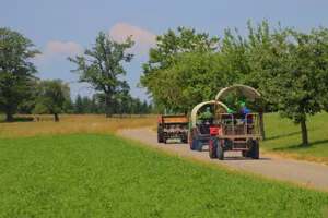 Trois tracteurs conduisant sur une route bordée d'un champ vert et d'arbres sous un ciel clair.