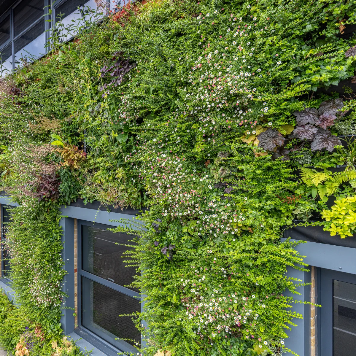 Office building covered in flowers for sustainability
