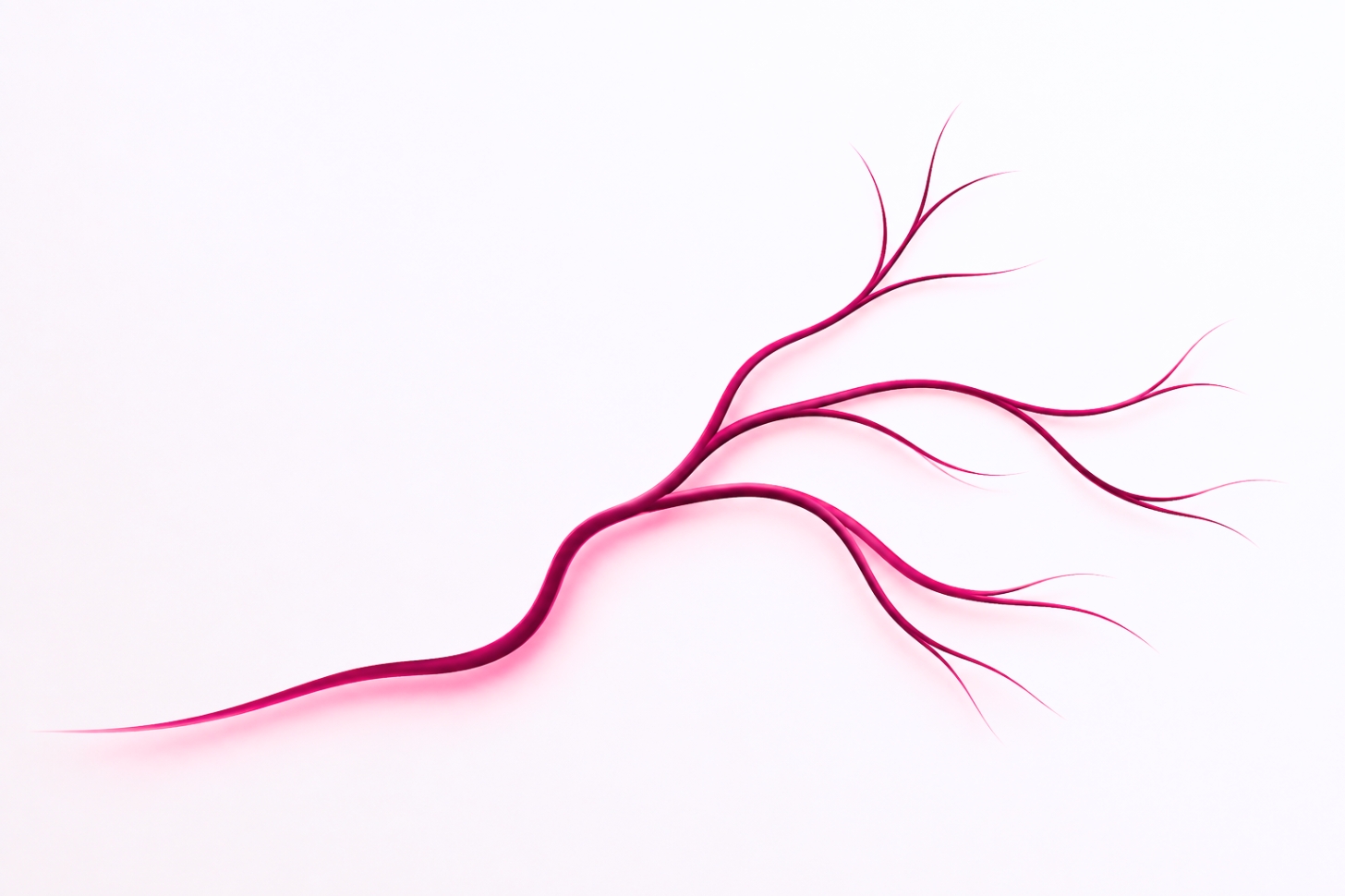 A single line begins as one track and branches into several diverging paths, illustrating how personality shapes multiple possible routes for growth rather than a fixed destiny.