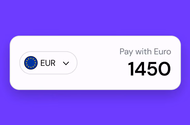 Payment interface showing currency option set to Euro and amount 1450 to pay with Euro.