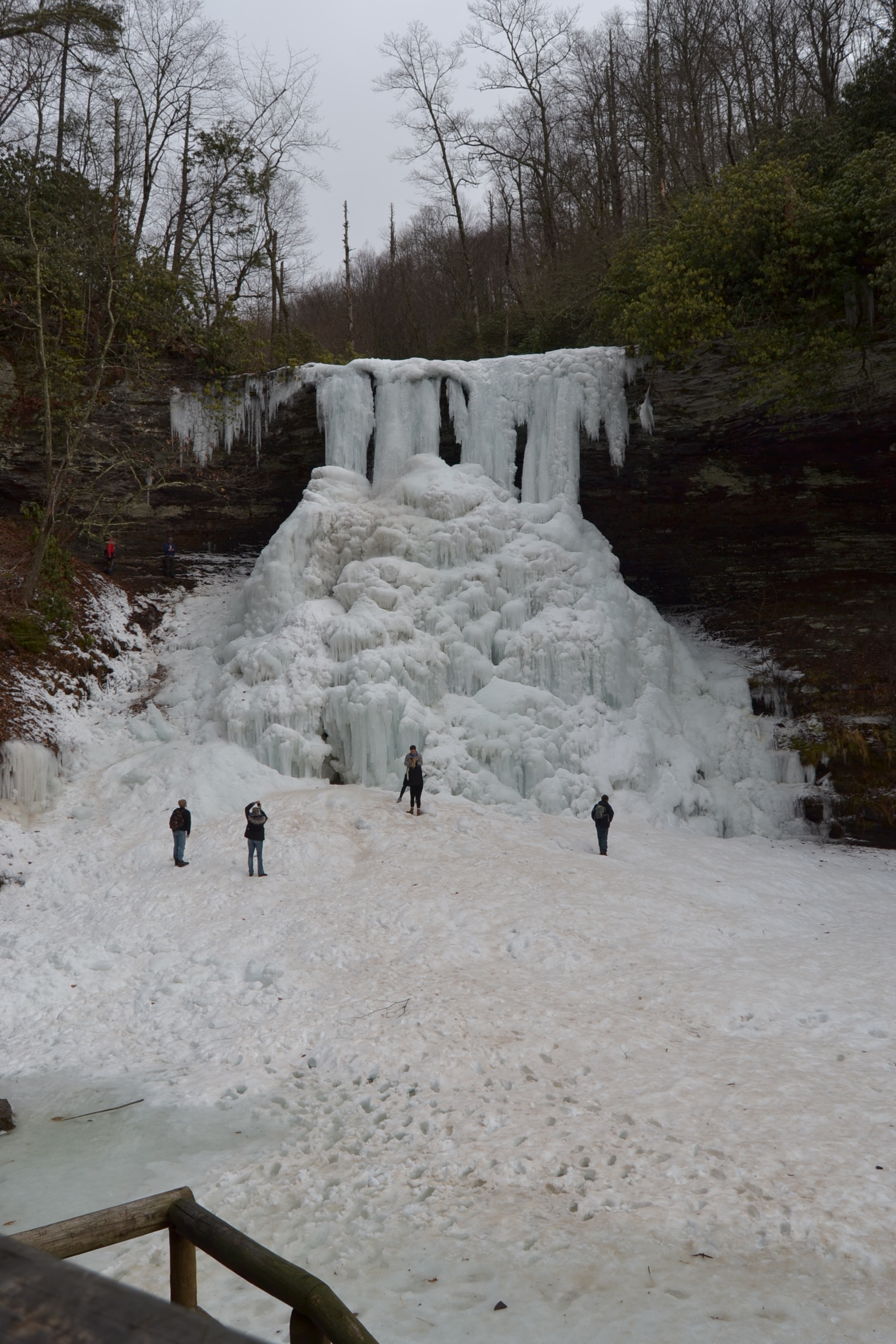 Wildlife and you can enjoy the NRV this season