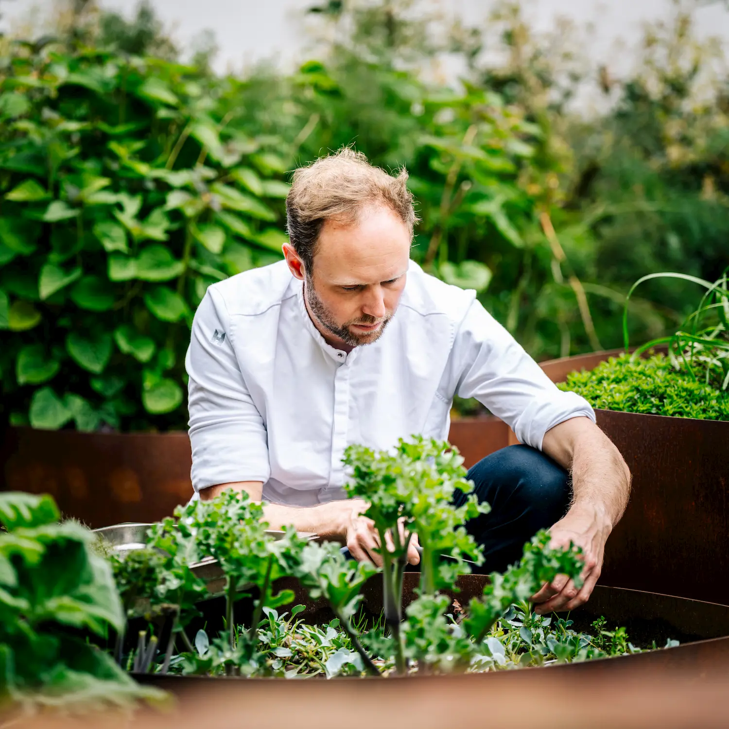Chef Matthias werkt een bord af met saus