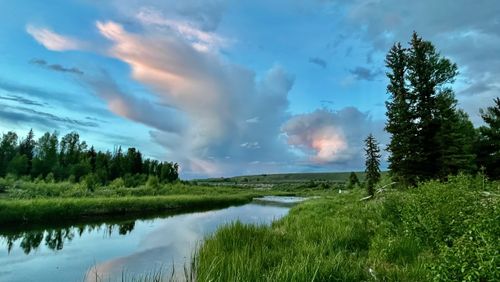 Planning the Perfect Summer Trip to Jackson Hole with Off-Grid Experiences