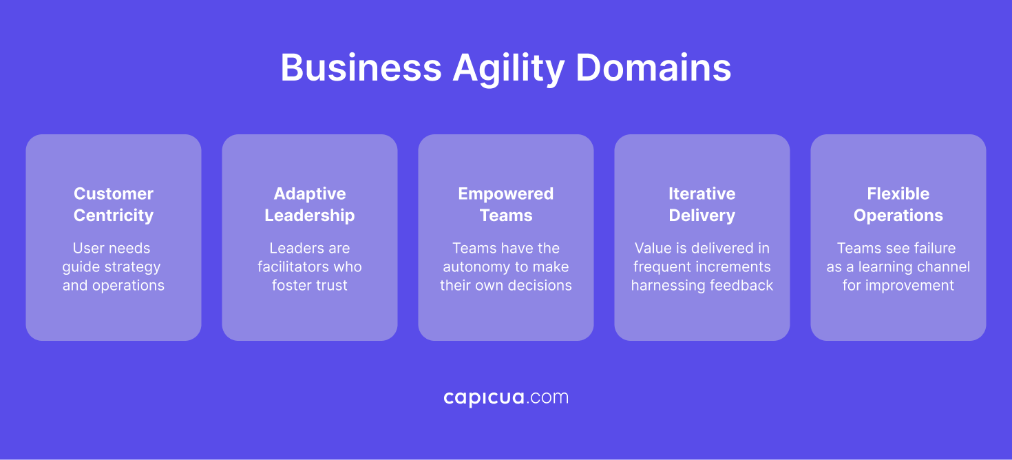 Capicua Product Growth Partner, Creator or Shaped Clarity