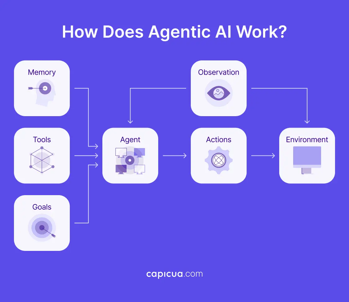 Capicua Product Growth Partner, Creator or Shaped Clarity